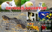 Okyanus Akvaryum